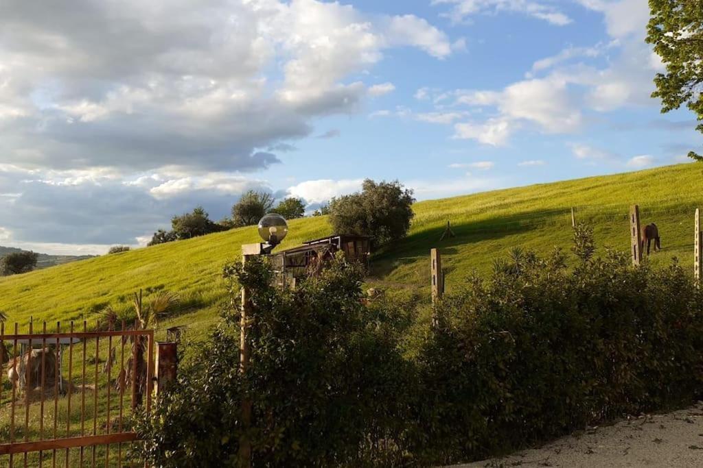 Villa Marcella Casa Vacanza Grottazzolina Kültér fotó