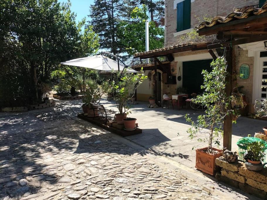 Villa Marcella Casa Vacanza Grottazzolina Kültér fotó