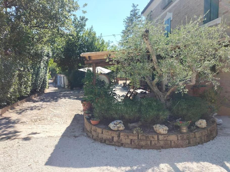Villa Marcella Casa Vacanza Grottazzolina Kültér fotó